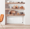 Биметаллический радиатор отопления Fondital 350/100 Alustal Plus 10 секций